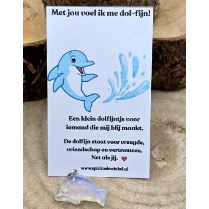 Edelsteen Dolfijntje Hanger 3 cm – Symbool van Vriendschap