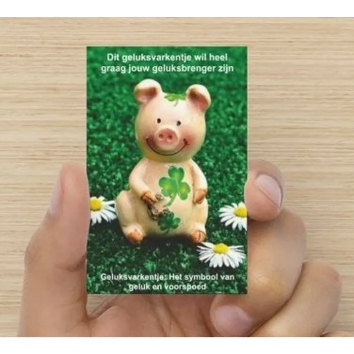 Geluksvarken pluche met kaartje