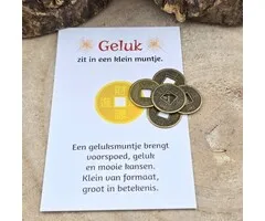 5 Mini Chinese Geluksmuntjes met Kaartje