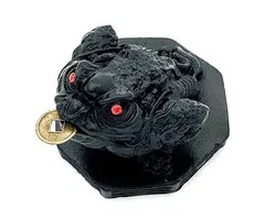 Feng Shui Kikker met Geluksmunt – Zwart