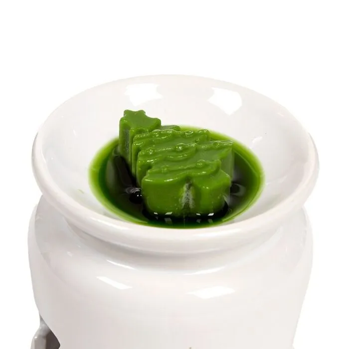 Winterkruiden Botanische Kerstmis Set 5 Waxmelts