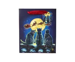 Kerstmis Katten - Cadeautasje