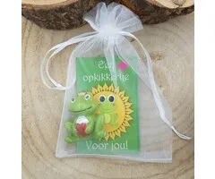 Een opkikkertje in organzazakje