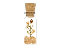 Citrien boompje in flesje