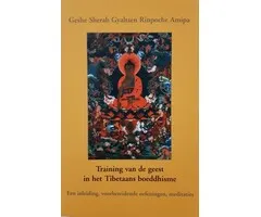 Training van de geest in het Tibetaans boeddhisme