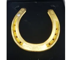 Hoefijzer met Swarovski steentje