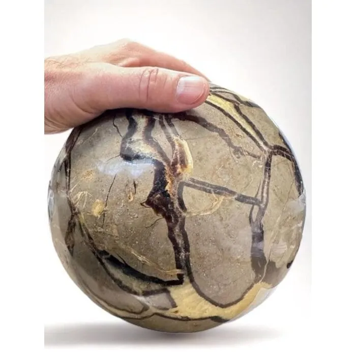 Septarien bol 19 cm - 10,7 kg