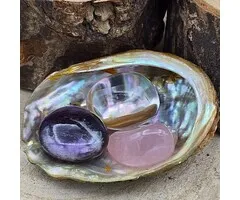 Gouden Driehoek Mini & Abalone Schelpje