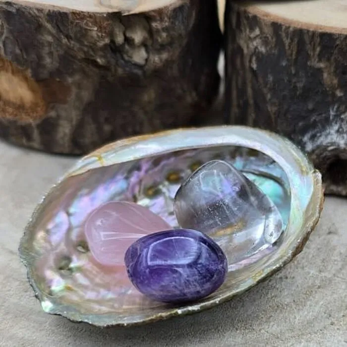 Gouden Driehoek Mini & Abalone Schelpje