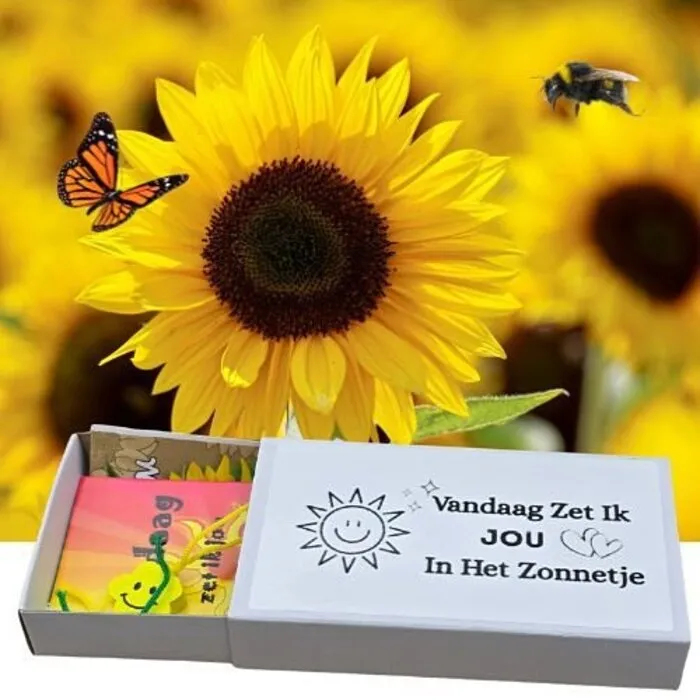 Wensdoosje “Vandaag zet ik jou in het zonnetje” Groot