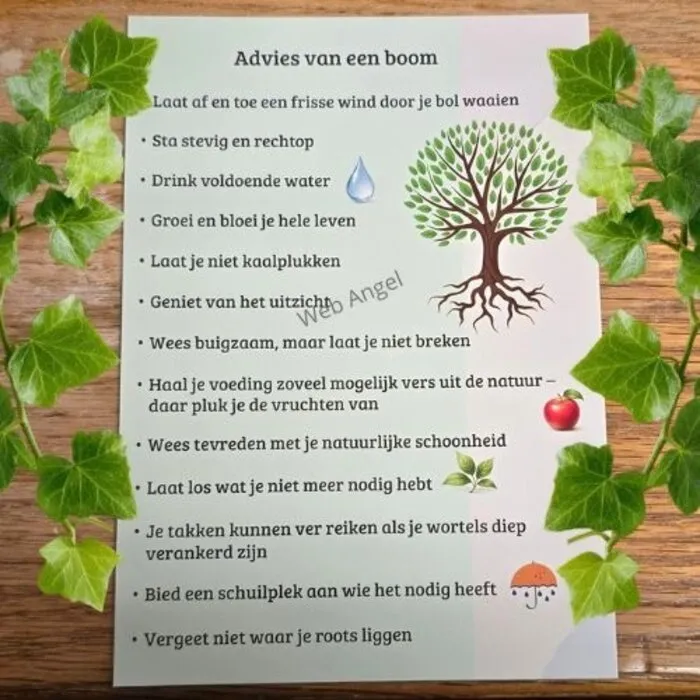 Advies van een Boom - Kaart met Boomwijsheid