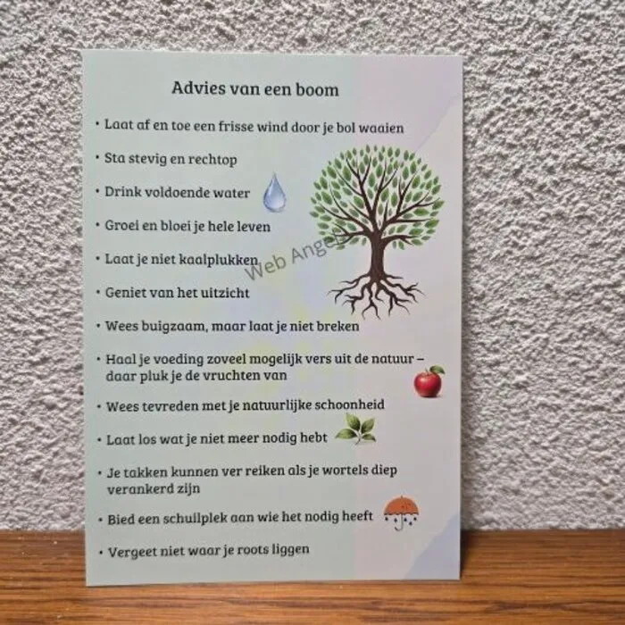 Advies van een Boom - Kaart met Boomwijsheid