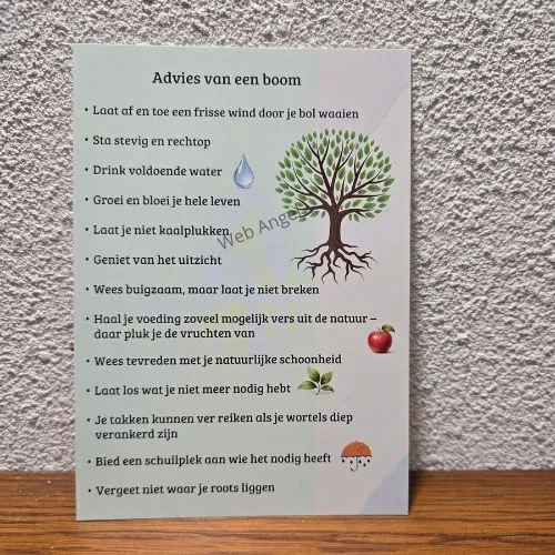 Advies van een Boom – Boomwijsheid