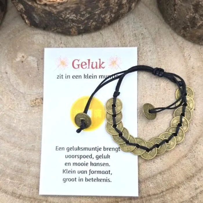 Verstelbare armband met geluksmuntjes