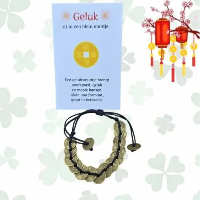 Verstelbare armband met geluksmuntjes