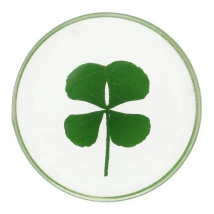 Geluksmuntje Klavertje vier