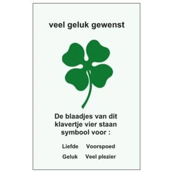 Hartvormig Geluksmuntje voor Liefde en Positiviteit