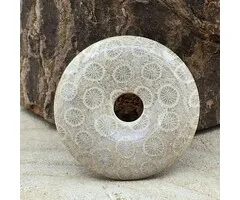 Donut gefossiliseerd koraal 4 cm