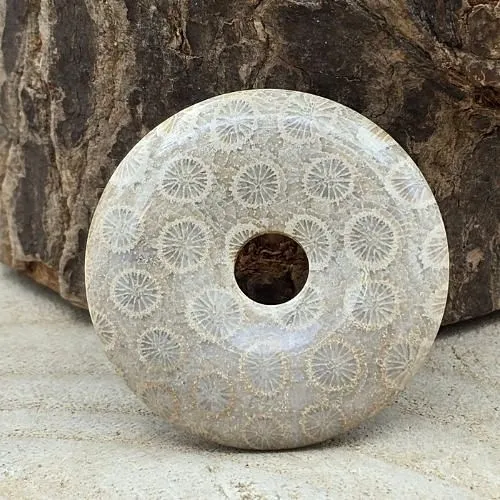 Donut gefossiliseerd koraal 4 cm