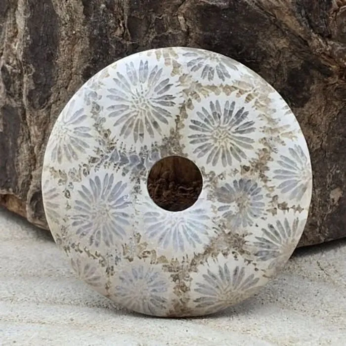 Gefossiliseerd Koraal Donut 4 cm ✨ Edelsteen Hanger met Zwart Koord