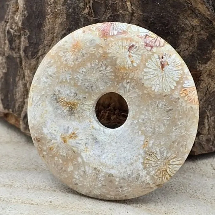 Gefossiliseerd Koraal Donut 4 cm ✨ Edelsteen Hanger met Zwart Koord