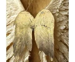 Engel vleugel goudkleurig