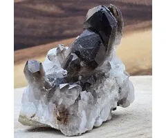 Rookkwarts Cluster 167 Gram – Donkere Hoofdpunt met Kristallen