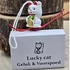 Wensdoosje Lucky Cat