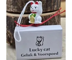 Wensdoosje Lucky Cat
