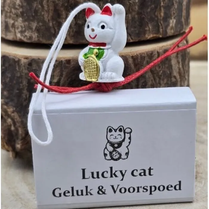 Wensdoosje Lucky Cat – Gelukskat Hangertje