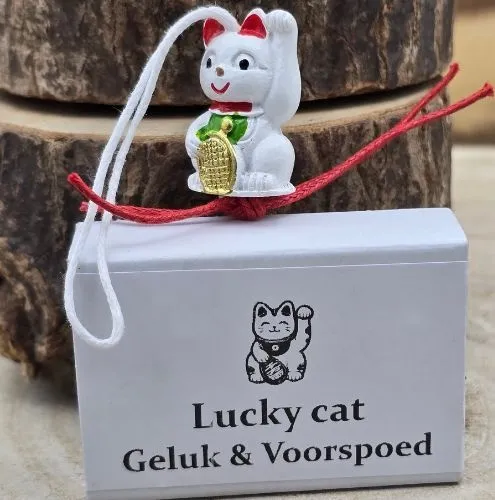 Wensdoosje Lucky Cat