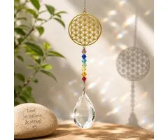 Regenboogkristal met chakra levensbloem