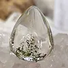 Fantoomkwarts / Lodoliet (Garden Quartz) Druppel
