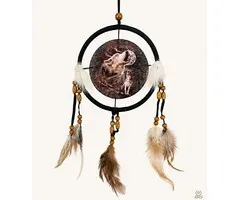 Dromenvanger wolf