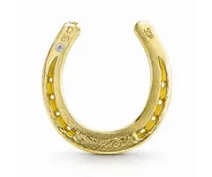 Hoefijzer met Swarovski steentje