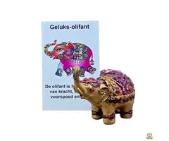 Geluksolifantje Gedecoreerd met Cadeaukaartje