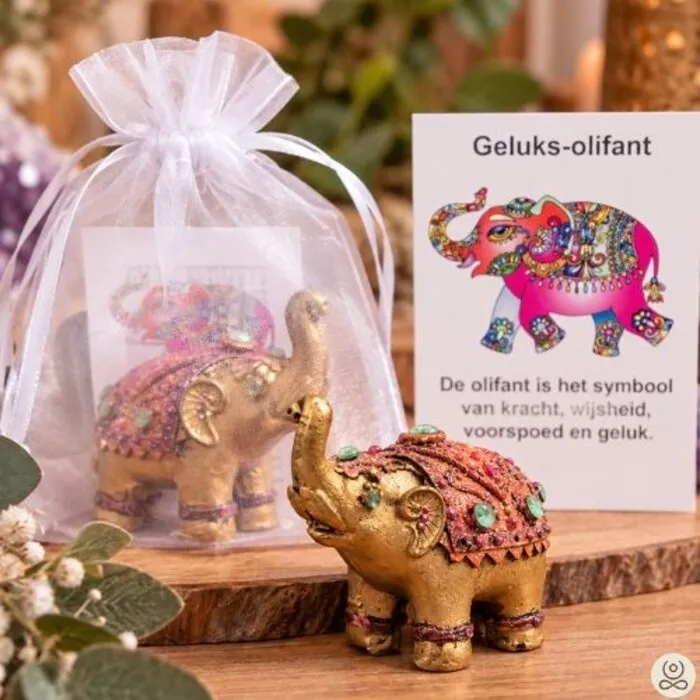 Geluksolifantje Gedecoreerd met Cadeaukaartje | Compleet Cadeau
