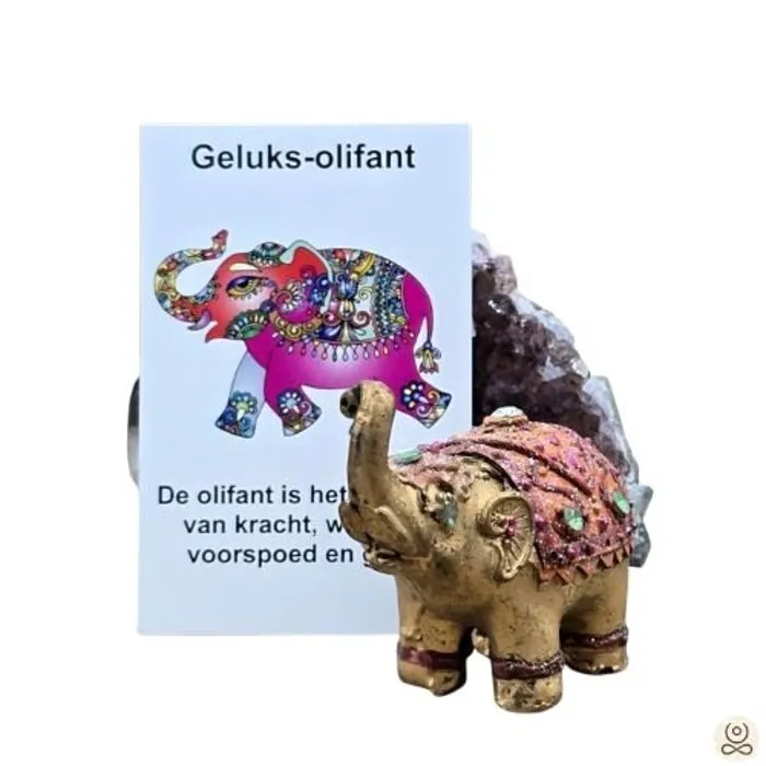 Geluksolifantje Gedecoreerd met Cadeaukaartje | Compleet Cadeau