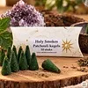 Holy Smokes Patchouli Wierookkegels – 10 stuks