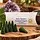 Holy Smokes Patchouli Wierookkegels – 10 stuks