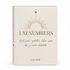 I XI Numbers
