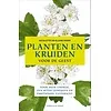 Planten en kruiden voor de geest