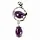 Amethyst hangertje zilver