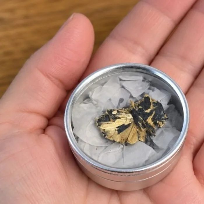Rutiel op Hematiet met Goudkleurige Rutielkristallen – Uniek Mineraal 35 mm