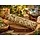 Yerba Smudgestick XL – 23 cm – ca. 100 gram