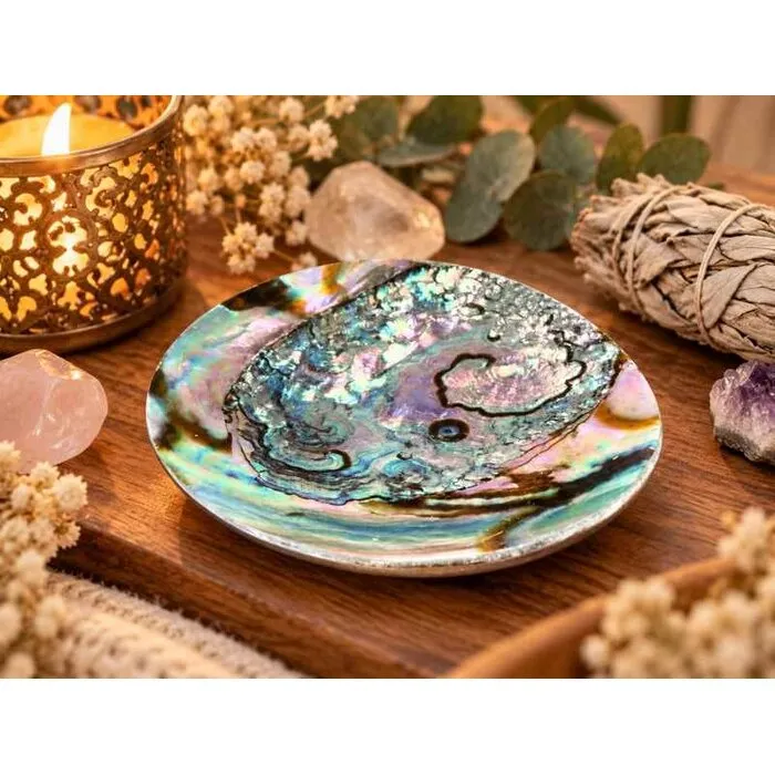 Sieradenschaaltje abalone schelp