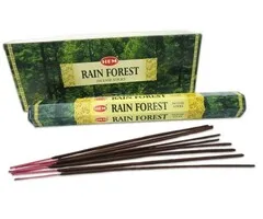 Wierook rain forest