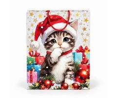 Kerst Cadeautas met Kat en Kerstmuts