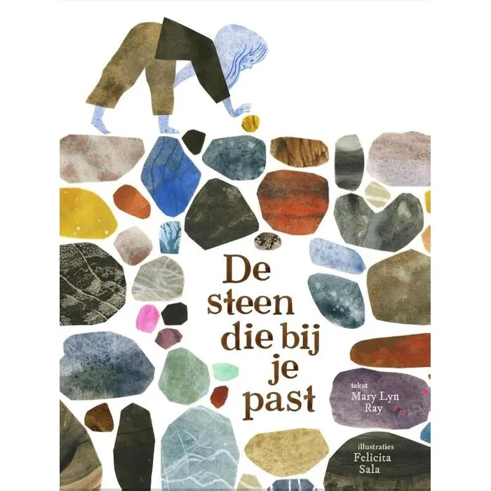 De steen die bij je past – Mary Lyn Ray | Prentenboek