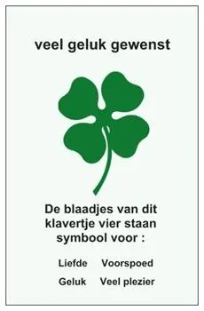 Klavertje Vier Sleutelhanger met 4 Bedeltjes en Kaartje